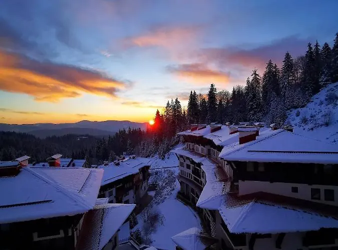 Viva 4-a-16 To The Door Grand Monastery