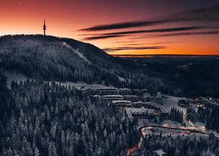 Viva 4-a-16 To The Door Grand Monastery