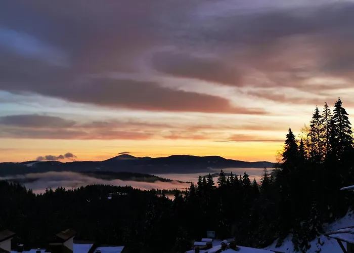 Διαμέρισμα Viva 4-a-16 To The Door Grand Monastery Παμπόροβο